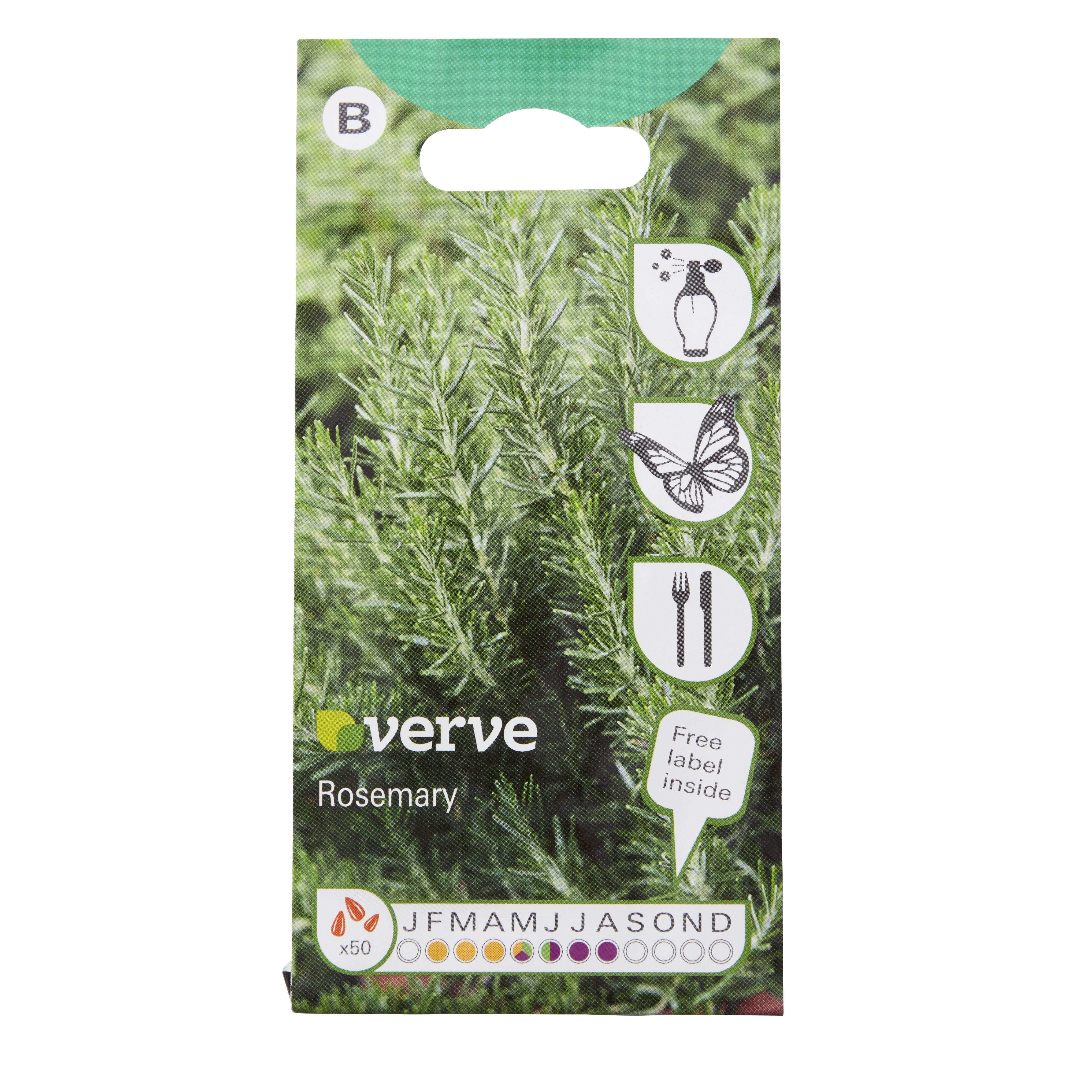 Verve 'Rosemary' Herb Seeds