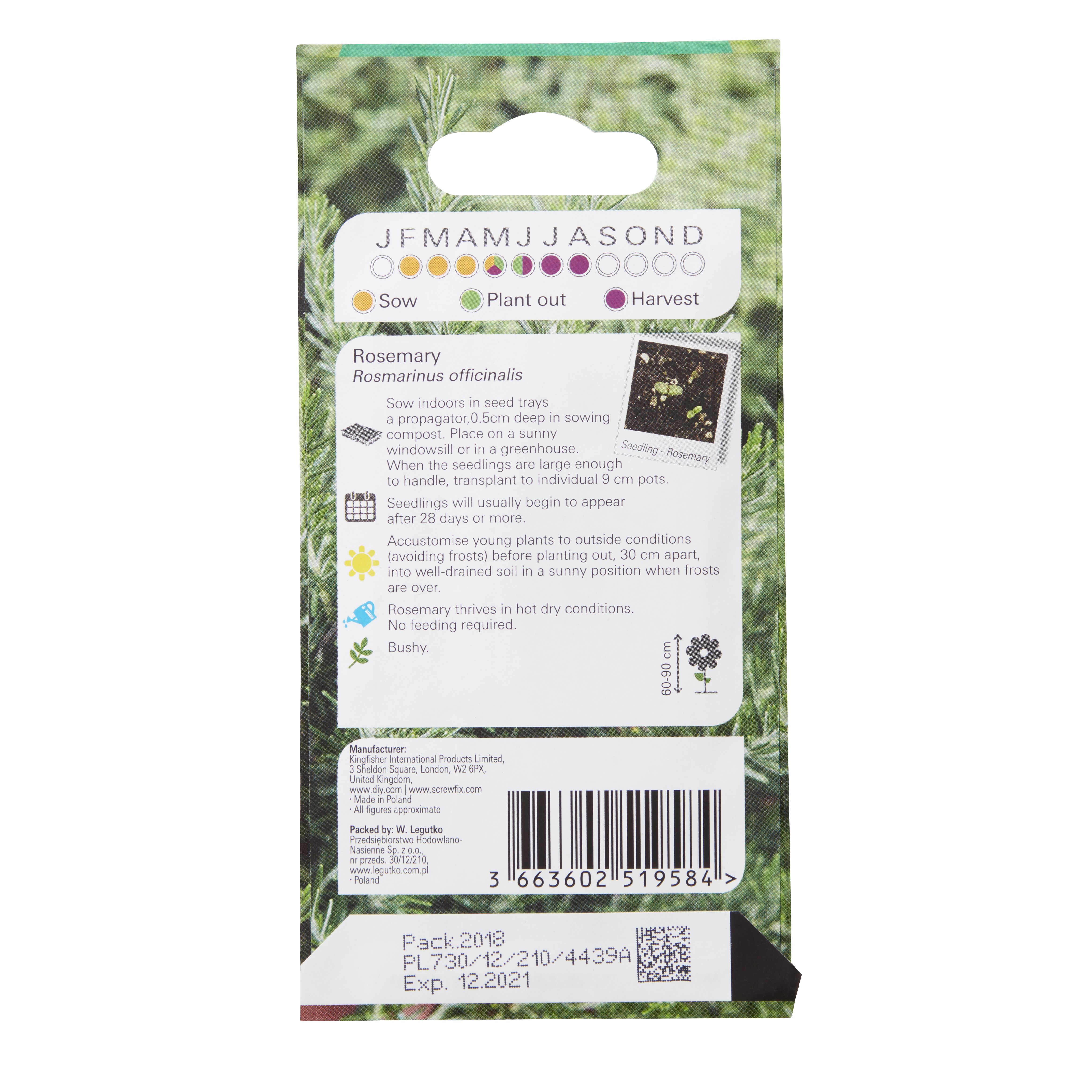 Verve 'Rosemary' Herb Seeds