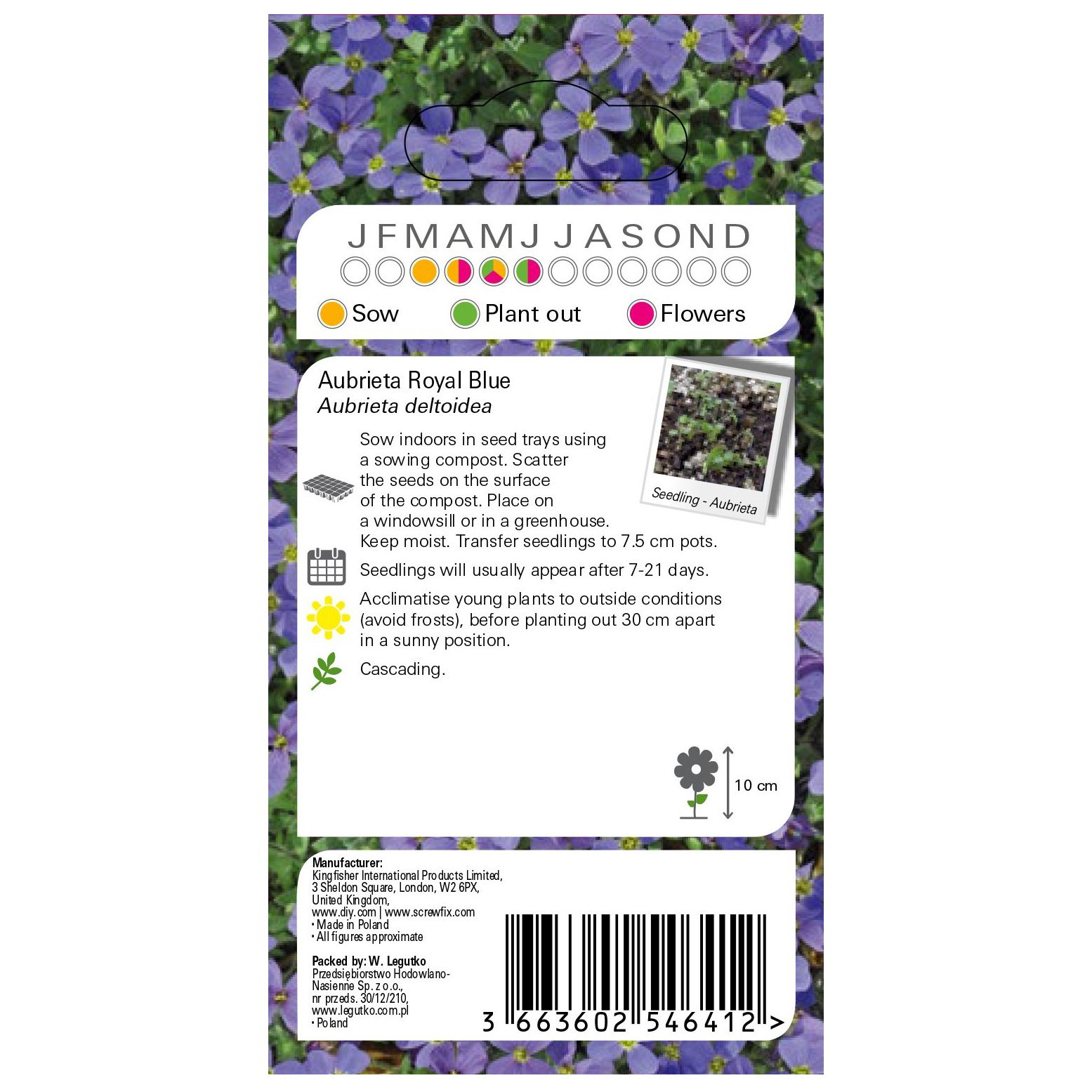 Verve Royal blue Aubrieta Seeds