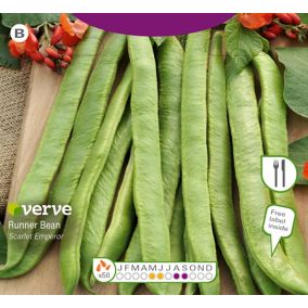 Verve Runner bean scarlett emperor Vegetable Seeds