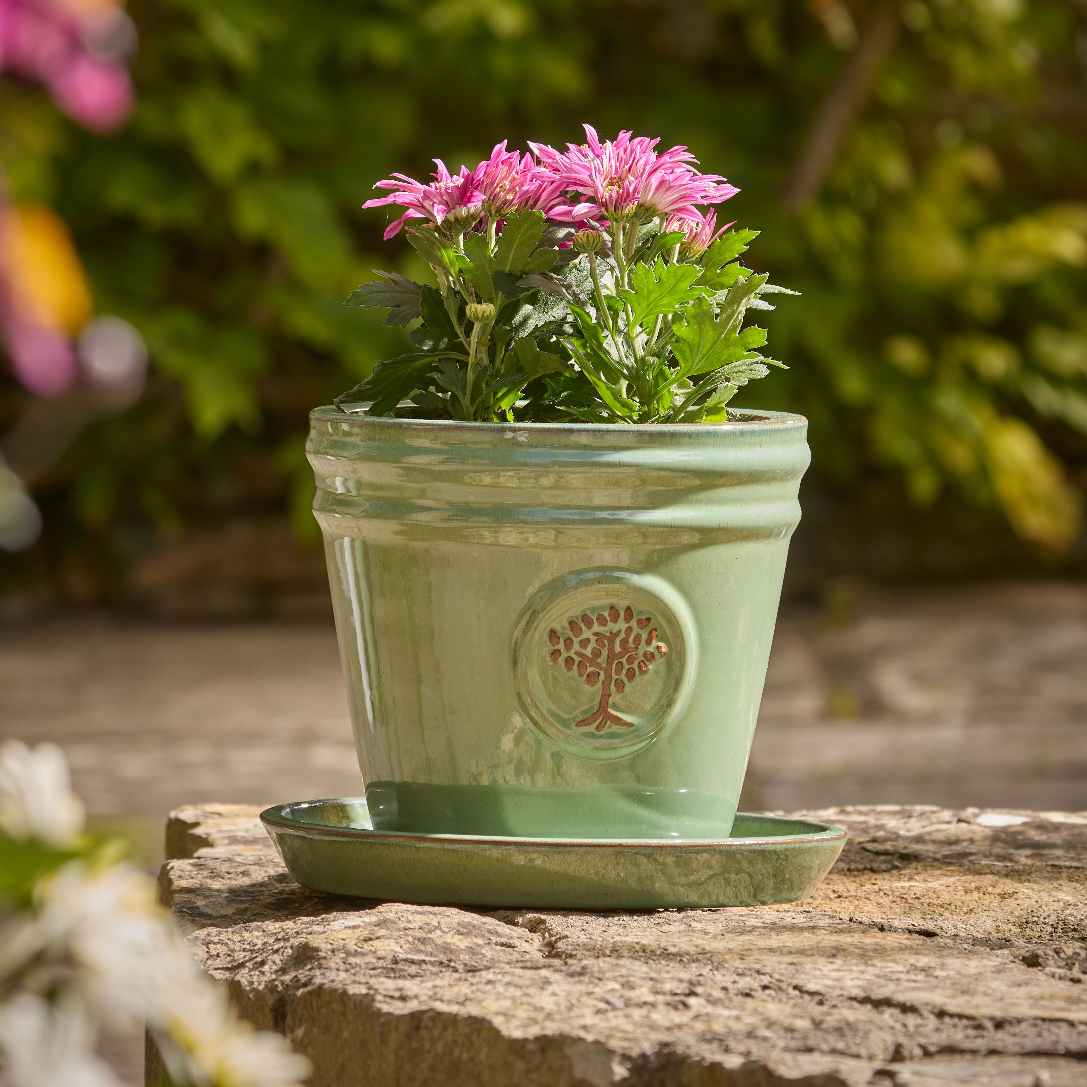 Verve Sage Green Ceramic Plant pot (Dia) 25cm, (H)19cm, 4L