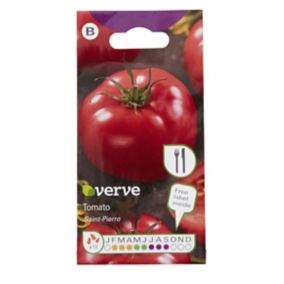 Verve Saint pierre tomato Seed