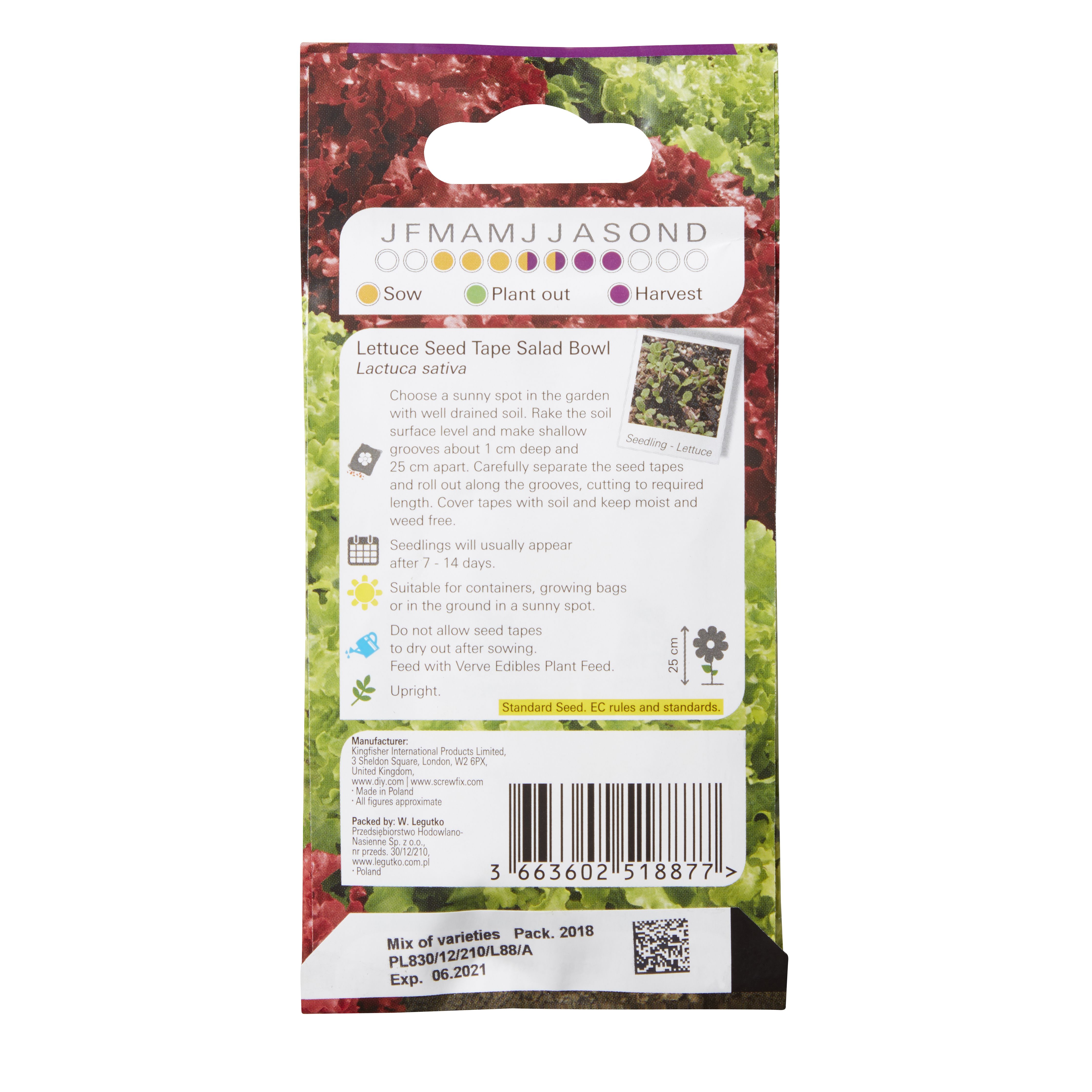 Verve Salad bowl Lettuce Seed tape