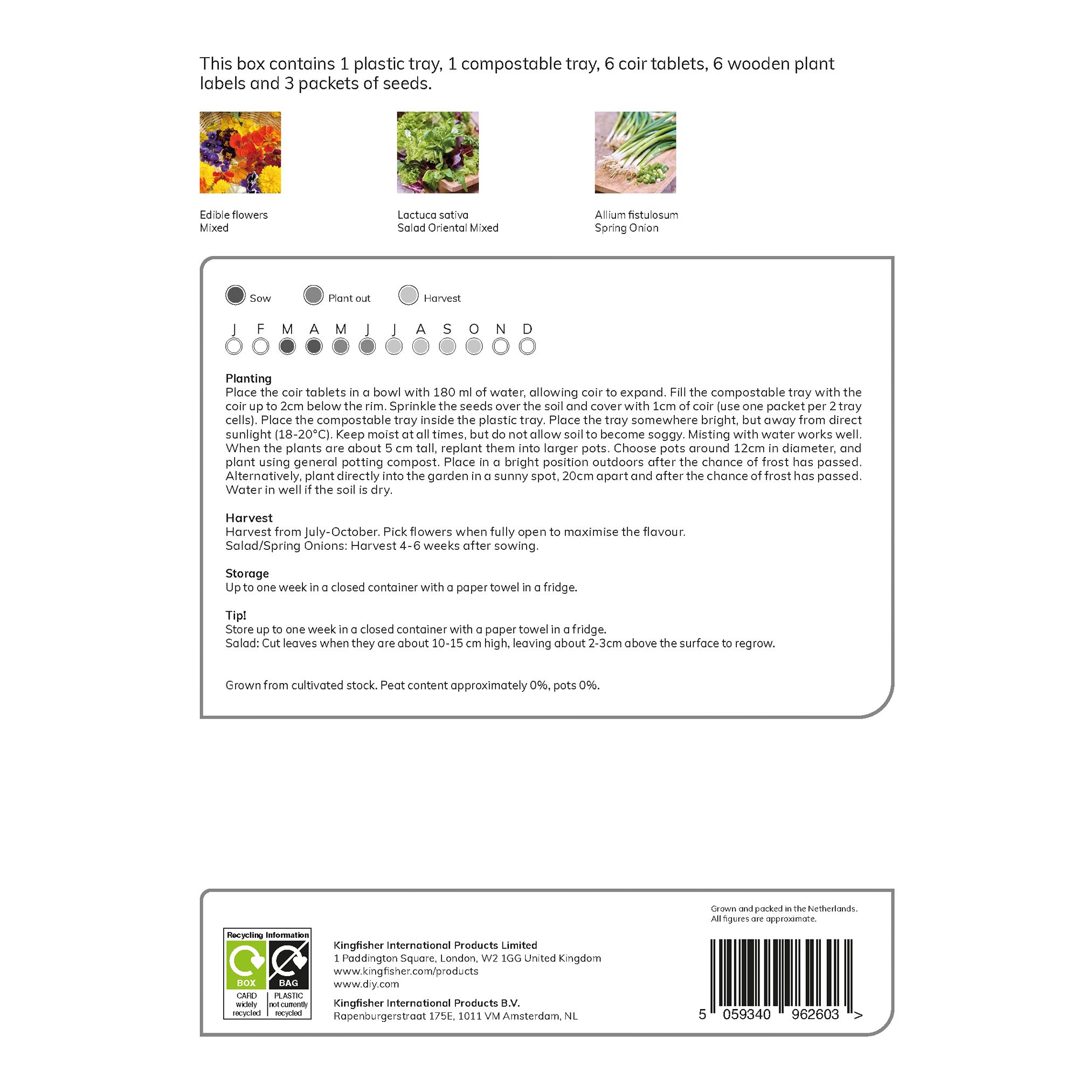 Verve Salad Vegetable bulbs & seeds kit