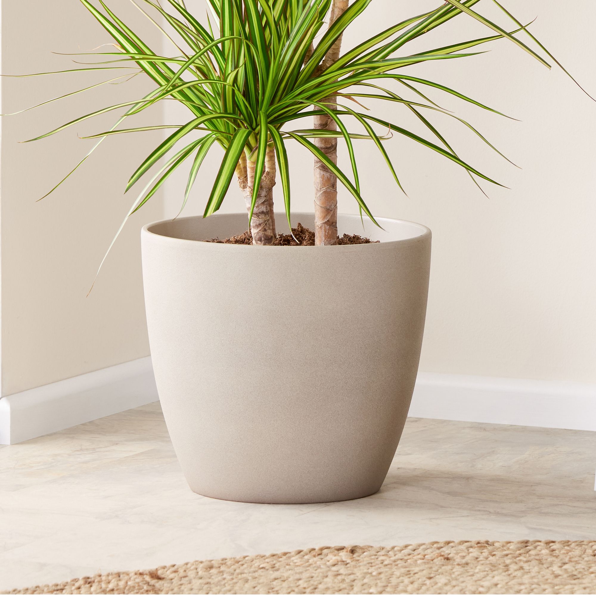 fake plant names Artificial Plant, 54