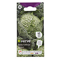 Verve Savoy cabbage vertus 2 Cabbage Seed