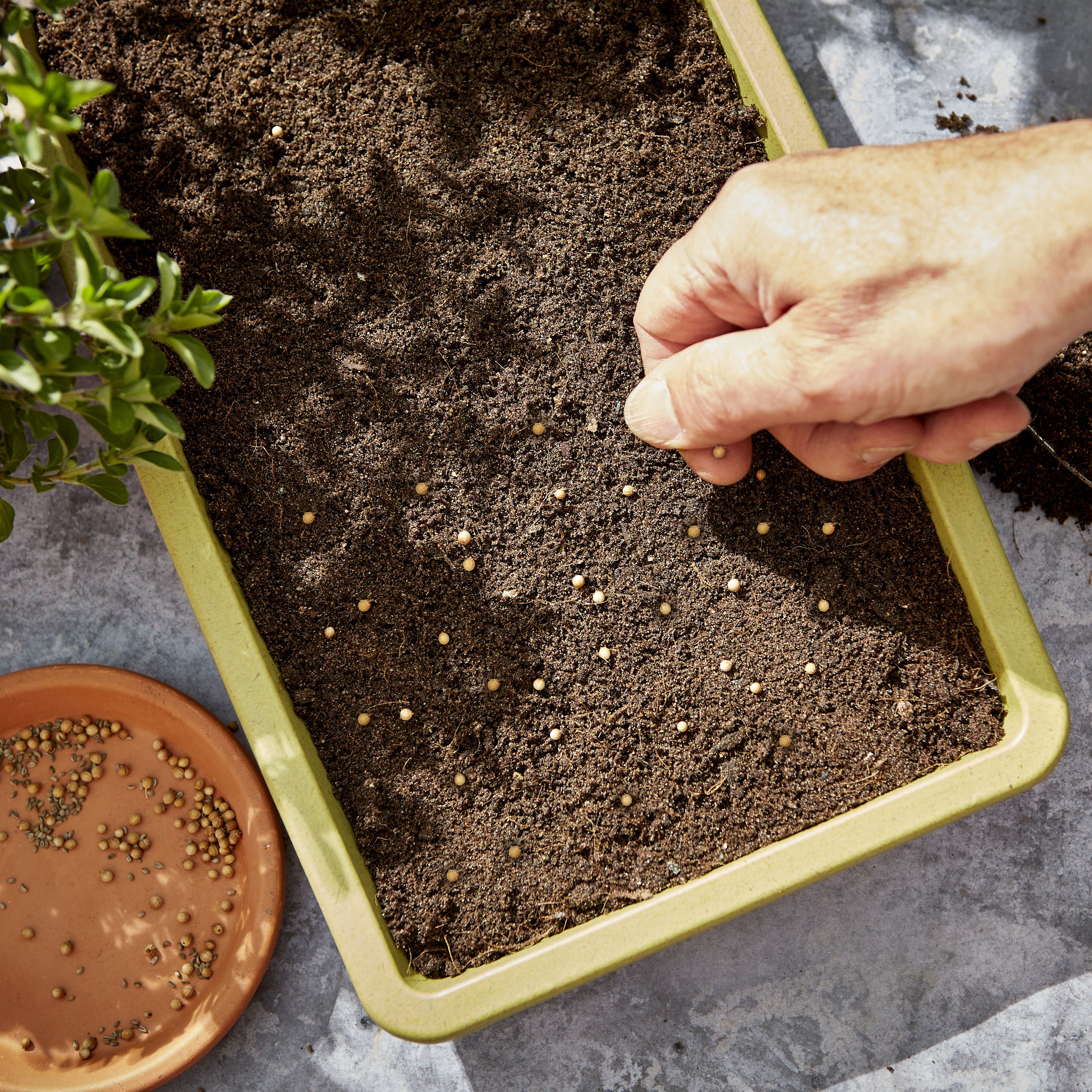 B&q compost deals