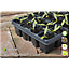 Verve Seed trays Compost 20L Bag