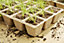 Verve Seed trays Compost 50L Bag