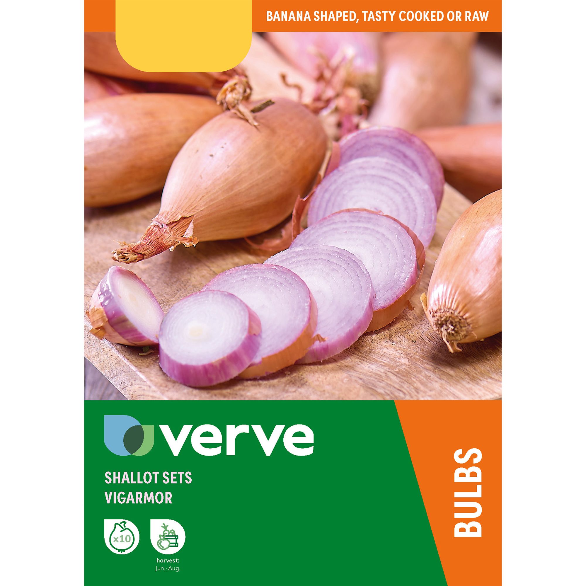 Verve Shallot Vegetable bulbs & seeds kit