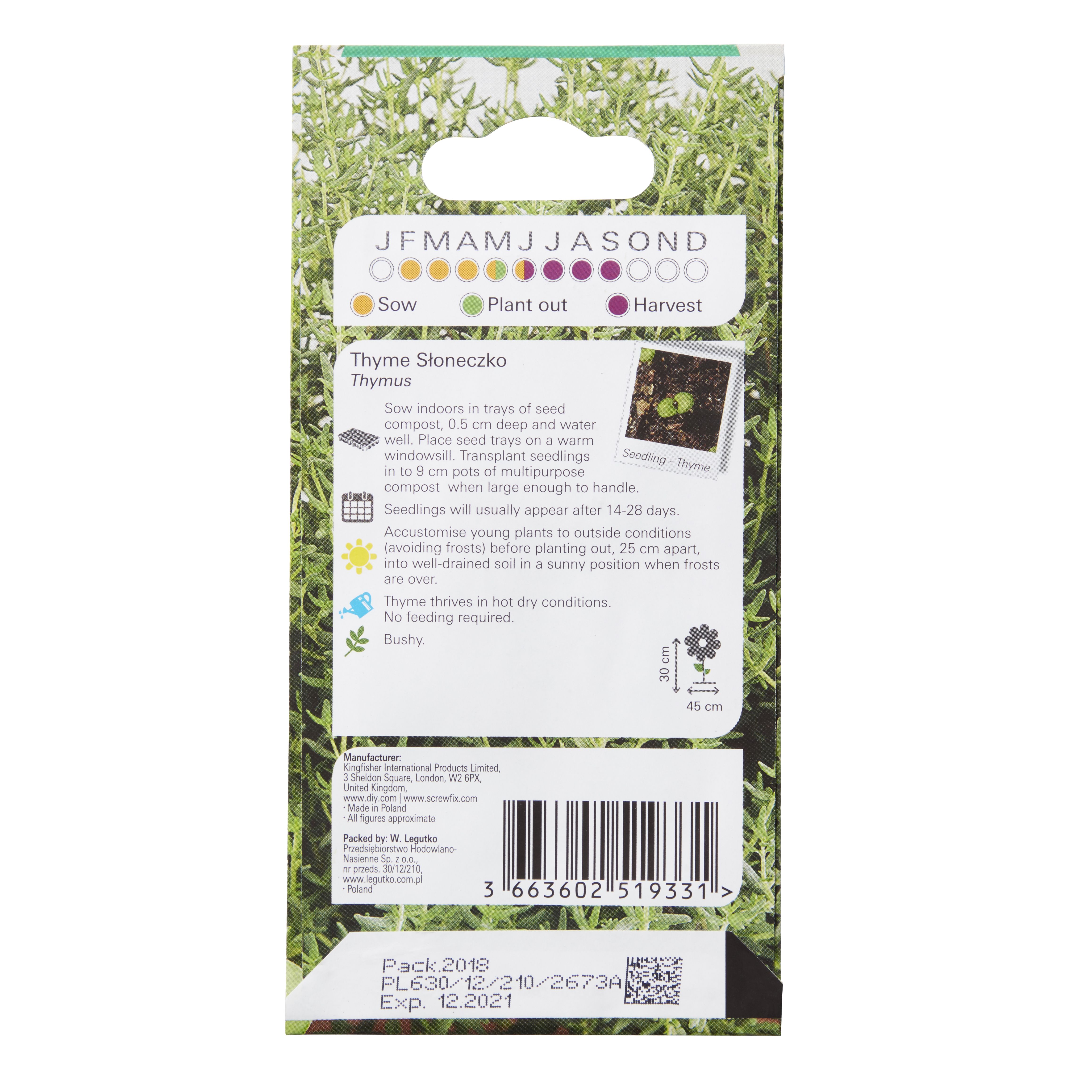 Verve 'Słoneczko thyme' Herb Seeds
