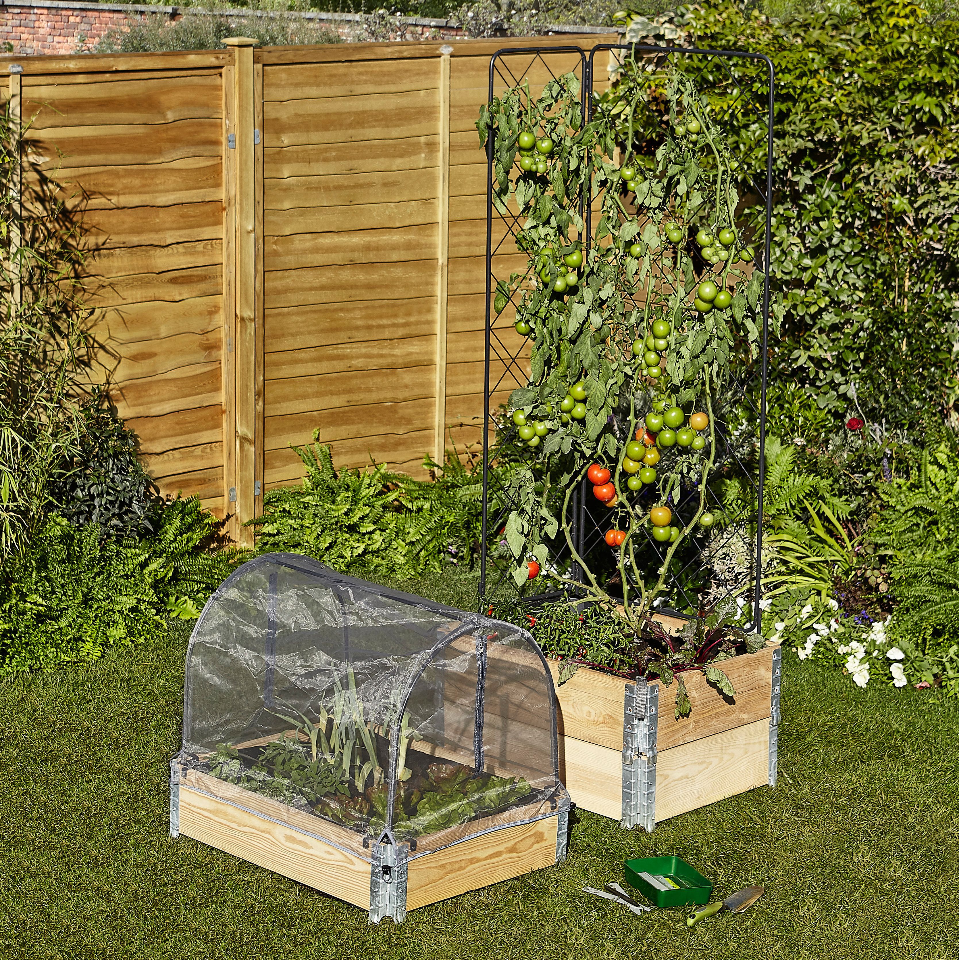 Verve Small Pine & steel Rectangular Raised bed kit 0.48m² (L)80cm x (W)60cm x (H)18.5cm