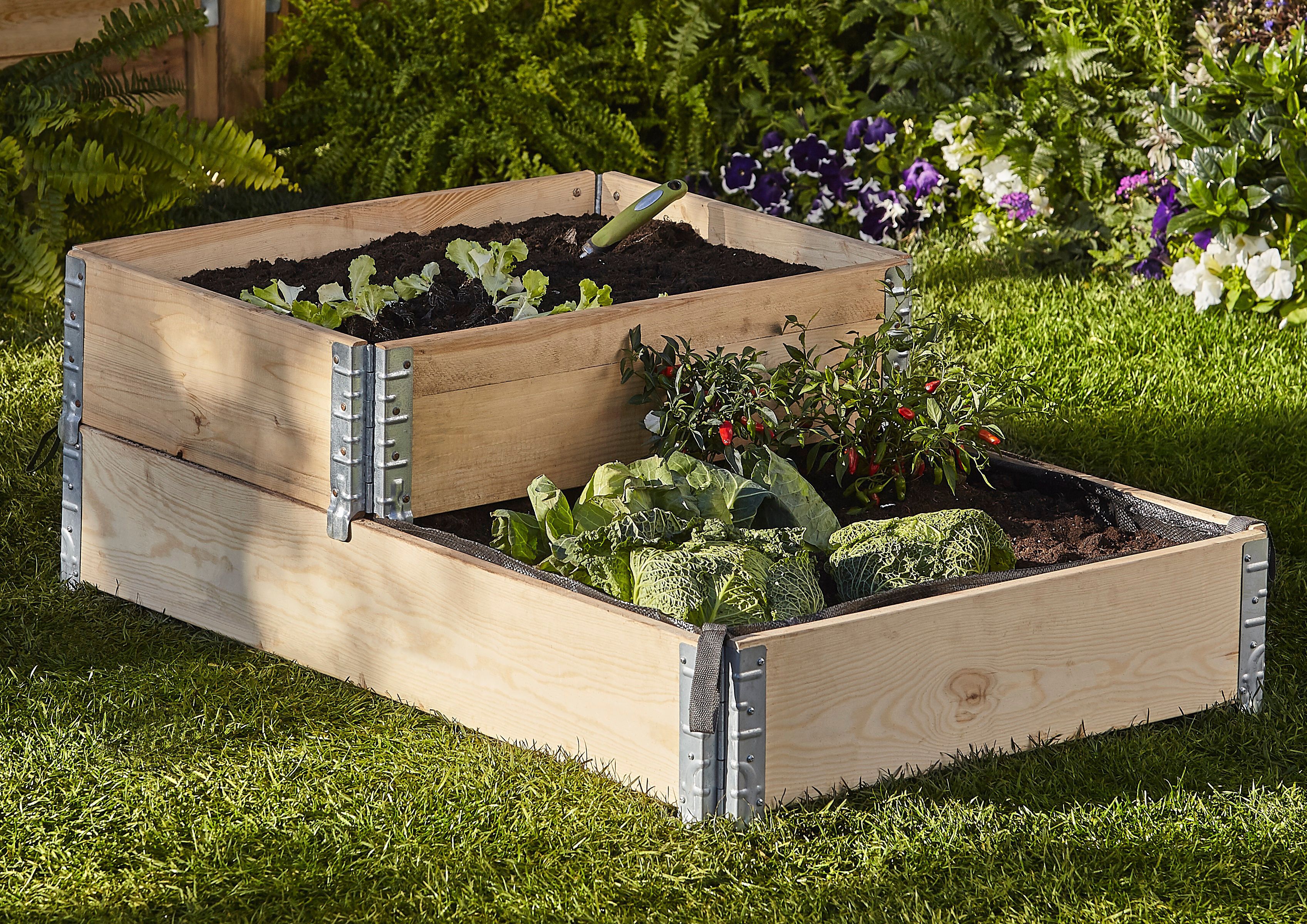 Verve Small Pine & steel Rectangular Raised bed kit 0.48m² (L)80cm x (W)60cm x (H)18.5cm
