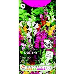 Verve Snapdragon Seeds