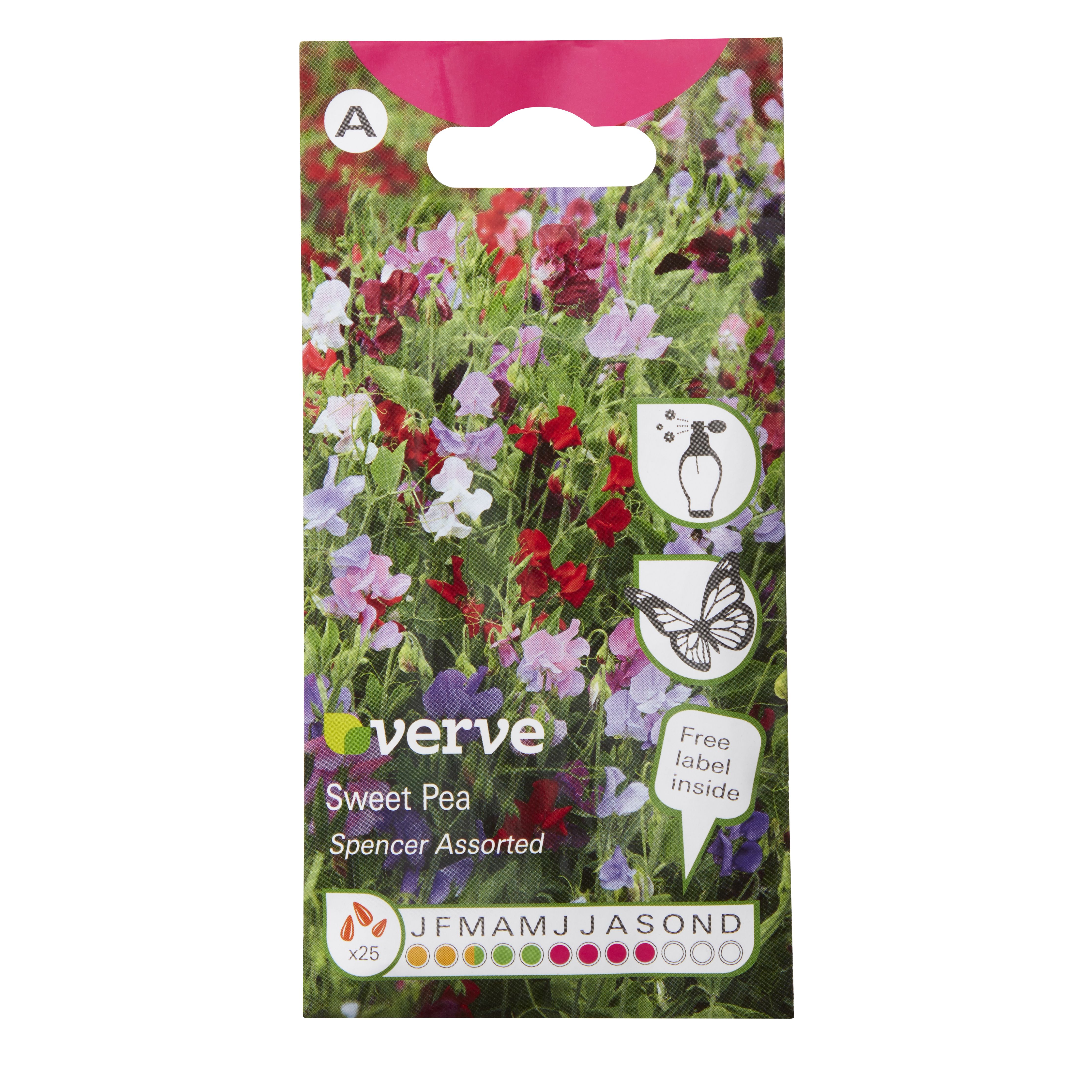 Verve Spencer Sweet pea Seeds