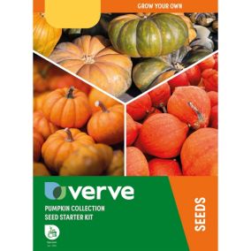 Verve Squash & gords Vegetable bulbs & seeds kit