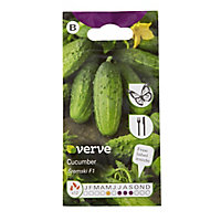 Verve Sremski F1 cucumber Seed