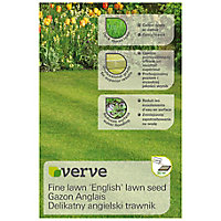Verve Standing grass seeds, 1.25kg