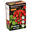 Verve Strawberry Plant feed Granules 1kg