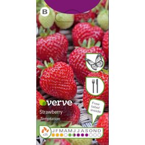 Verve Strawberry temptation Fruit seeds