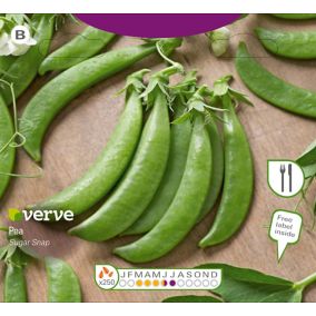 Verve Sugar snap pea Seeds