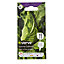 Verve Summer cabbage Seed