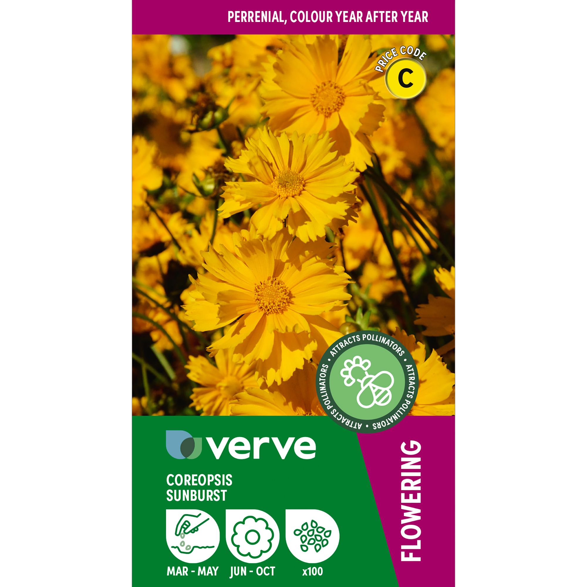 Verve Sunburst Coreopsis Seeds