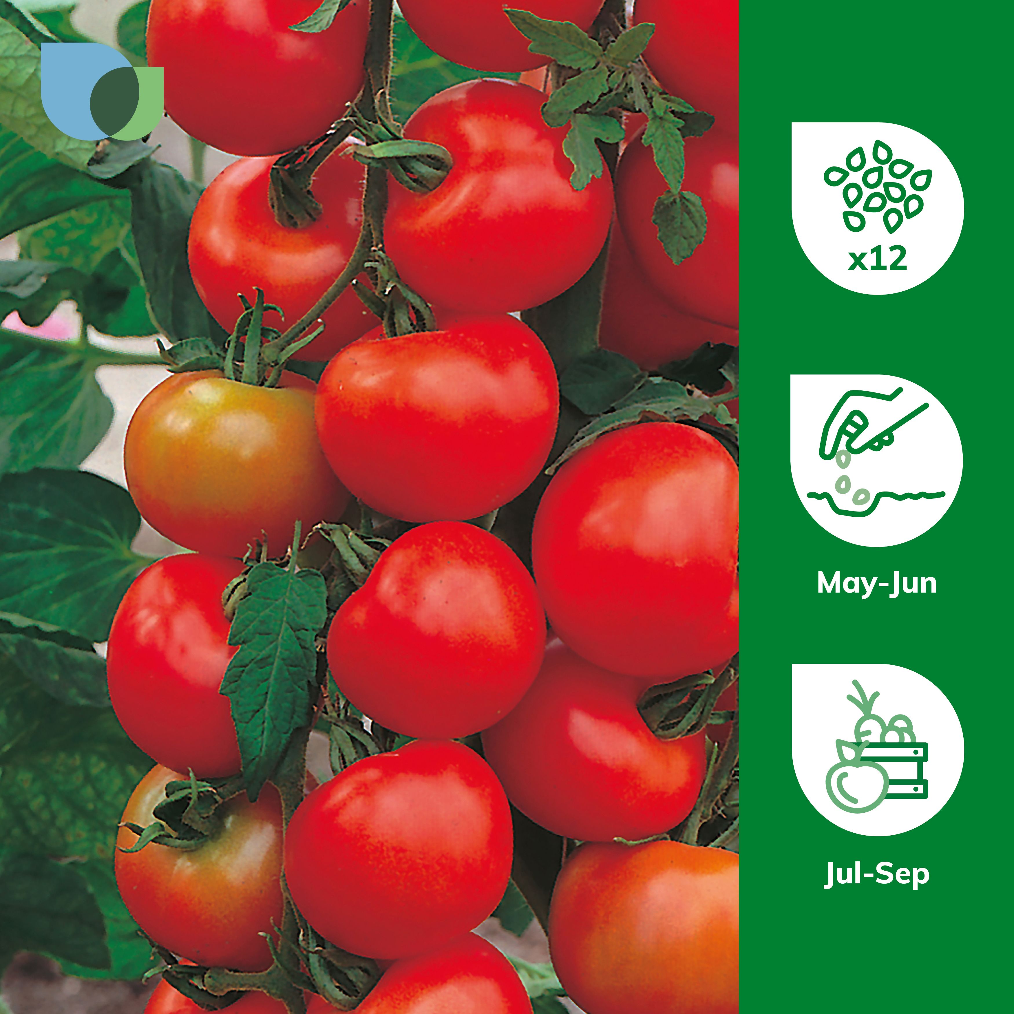tomato ページ。 Heinz Tomato Ketchup Value Size - 64 Oz - tomthumb