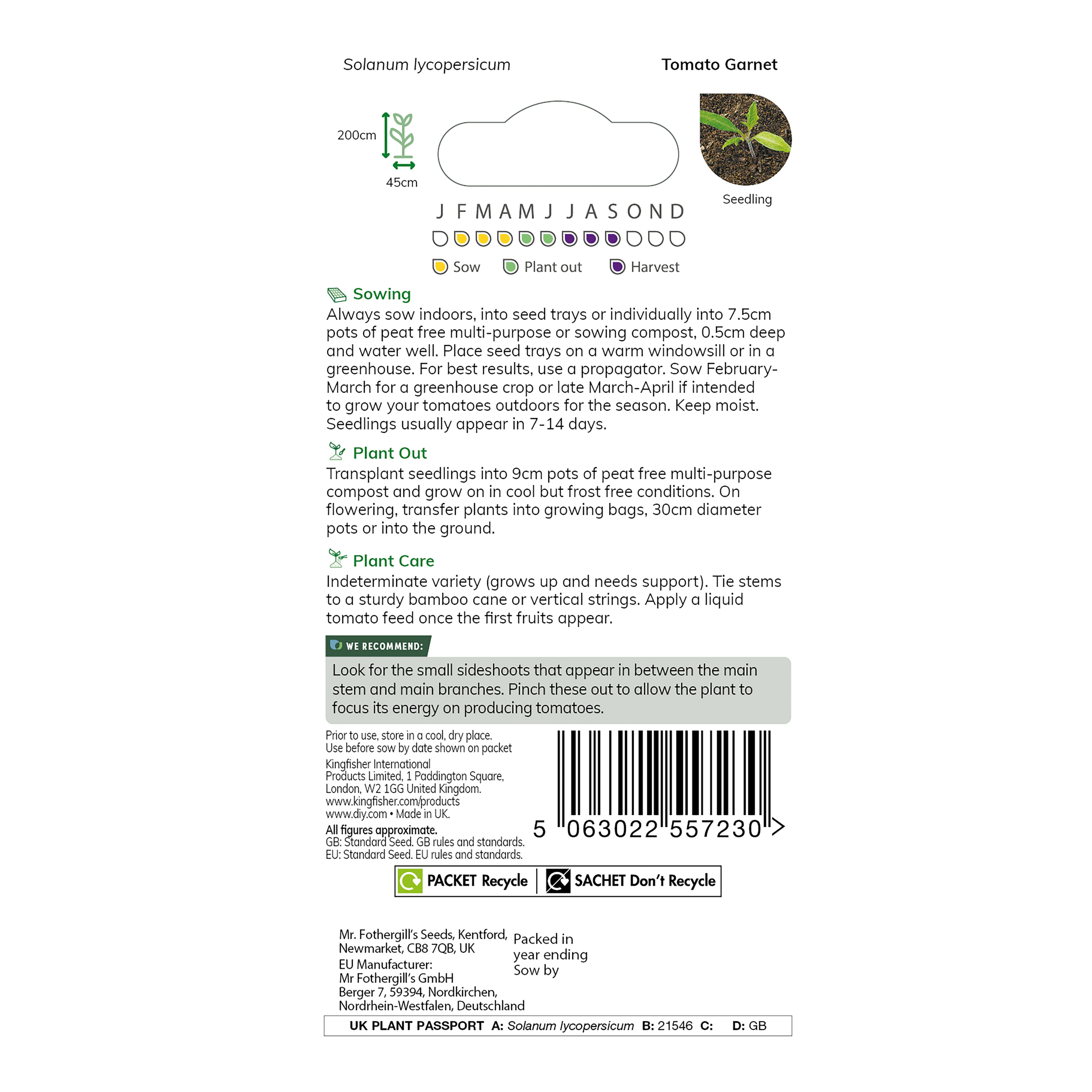 tomato ページ。 Tomato Plants 3 x Mixed Varieties - Growing Plants in 9cm