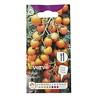 Verve Tomato goldita F1 Seed
