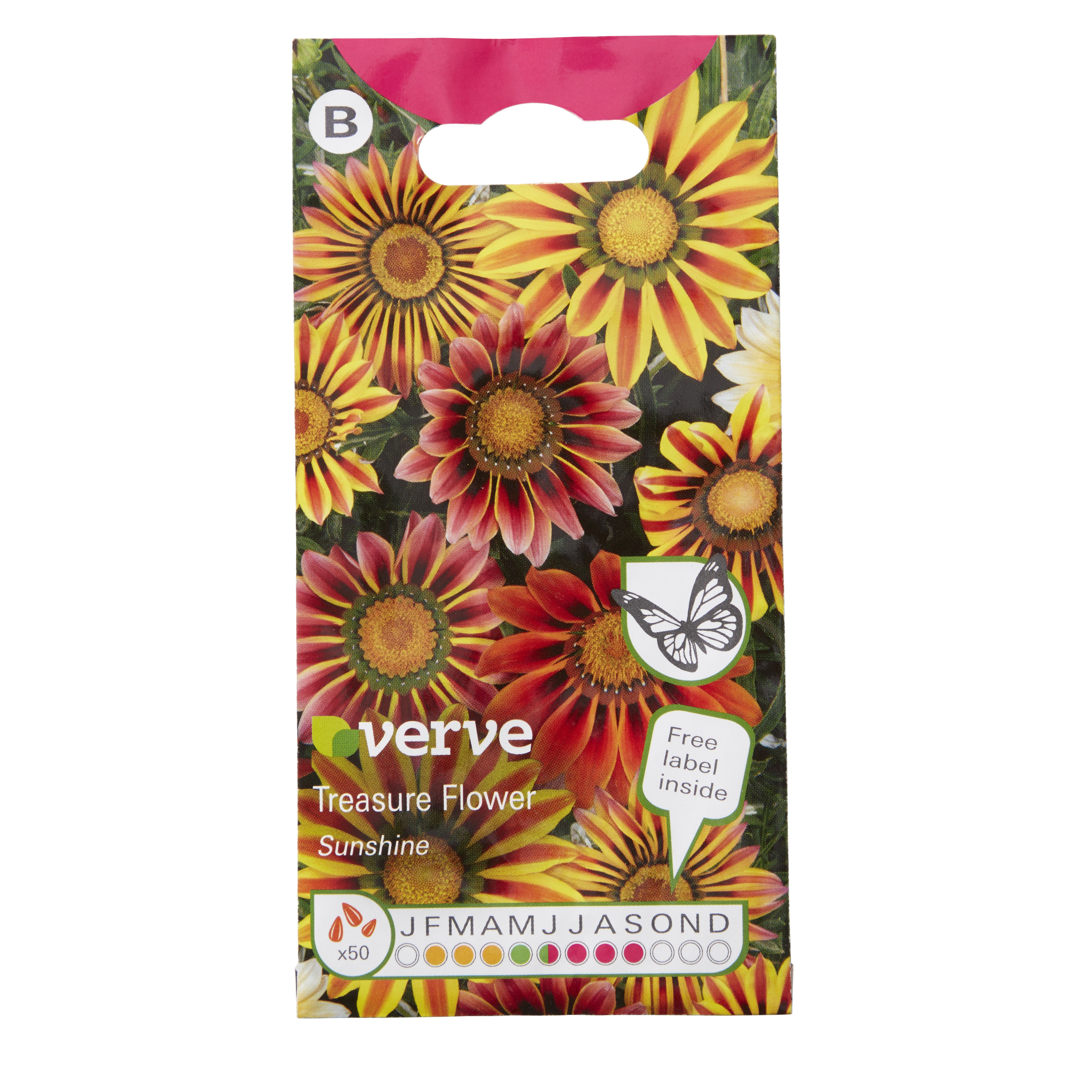 Verve Treasure flower sunshine Daisy Seeds