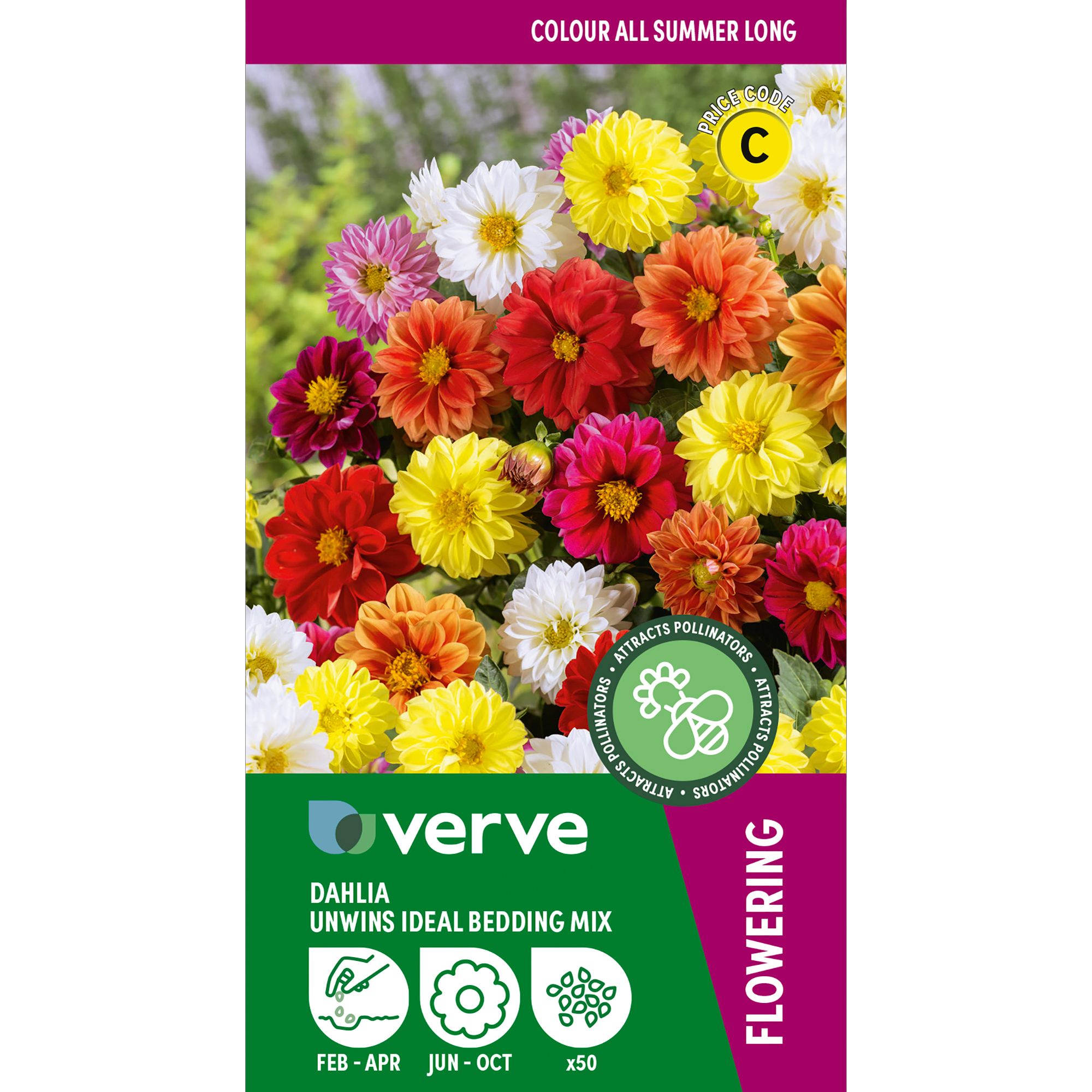 Verve Unwins Ideal Bedding Mix Dahlia Seeds