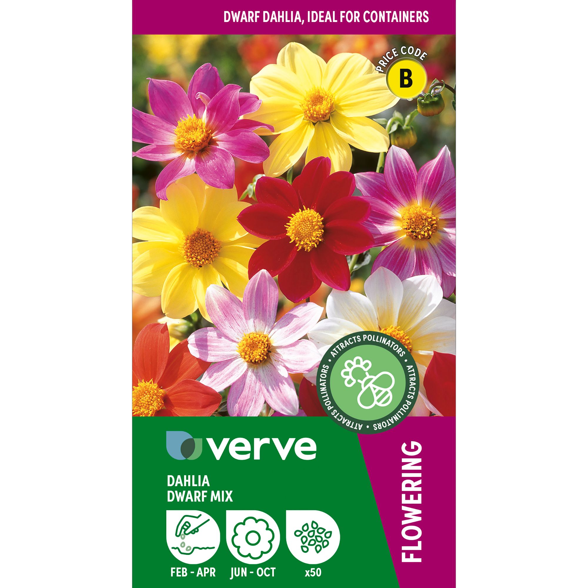 Verve Unwins Ideal Bedding Mix Dahlia Seeds