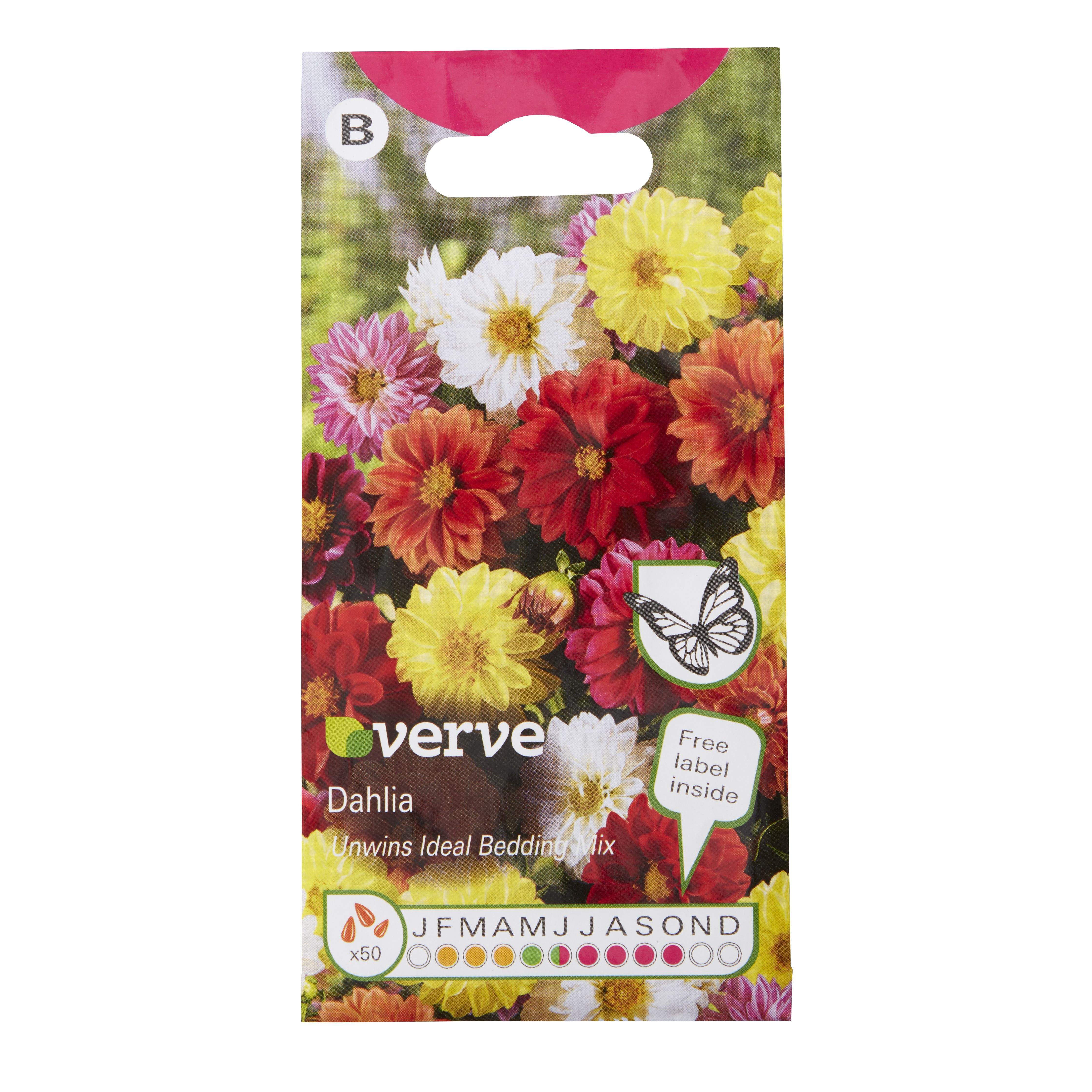 Verve Unwins mixed Dahlia Seeds