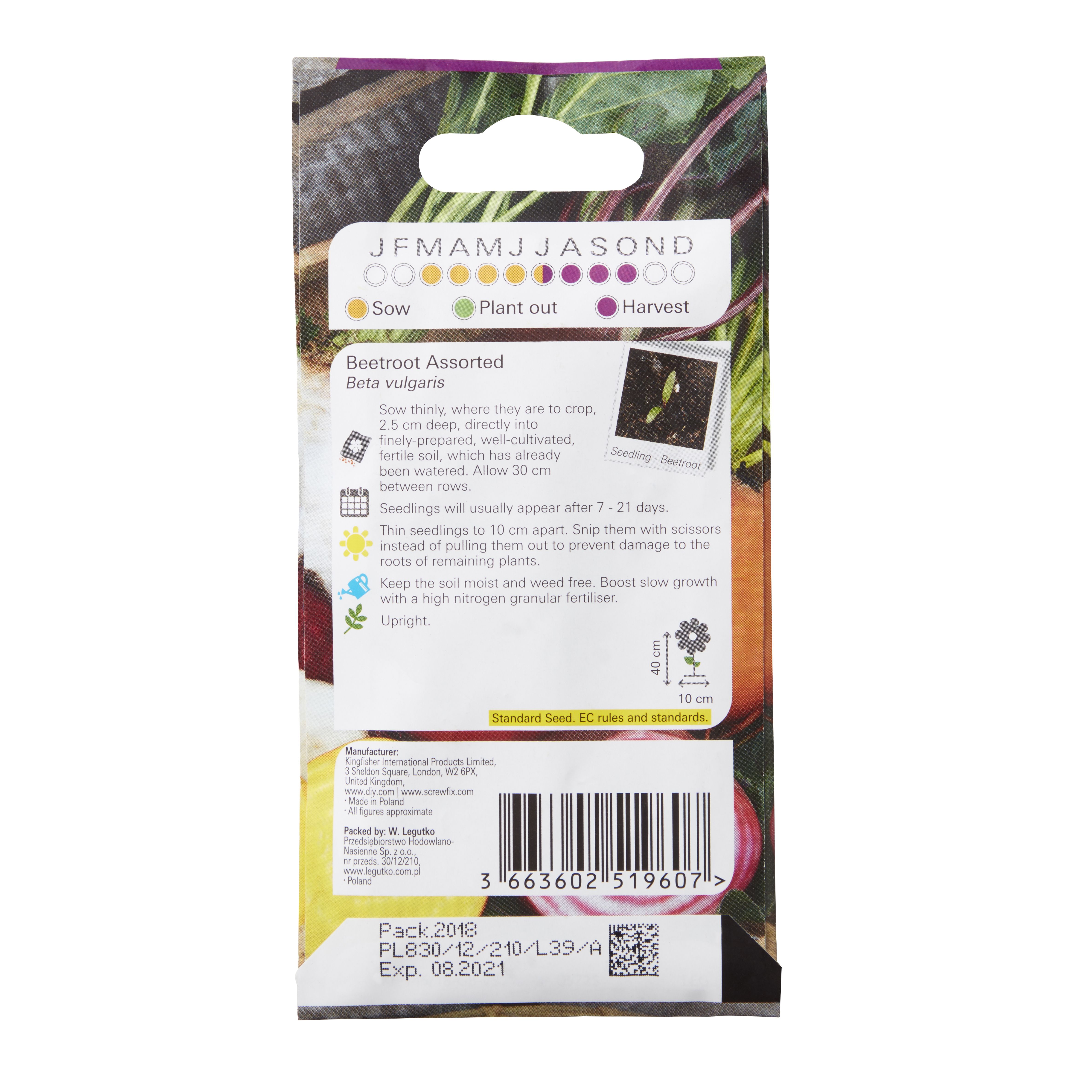 Verve Vegetable Beetroot Seeds