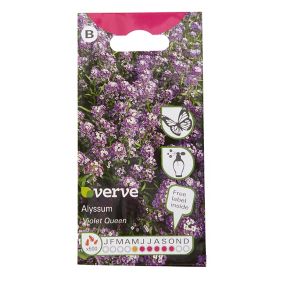 Verve Violet queen Alyssum Seeds