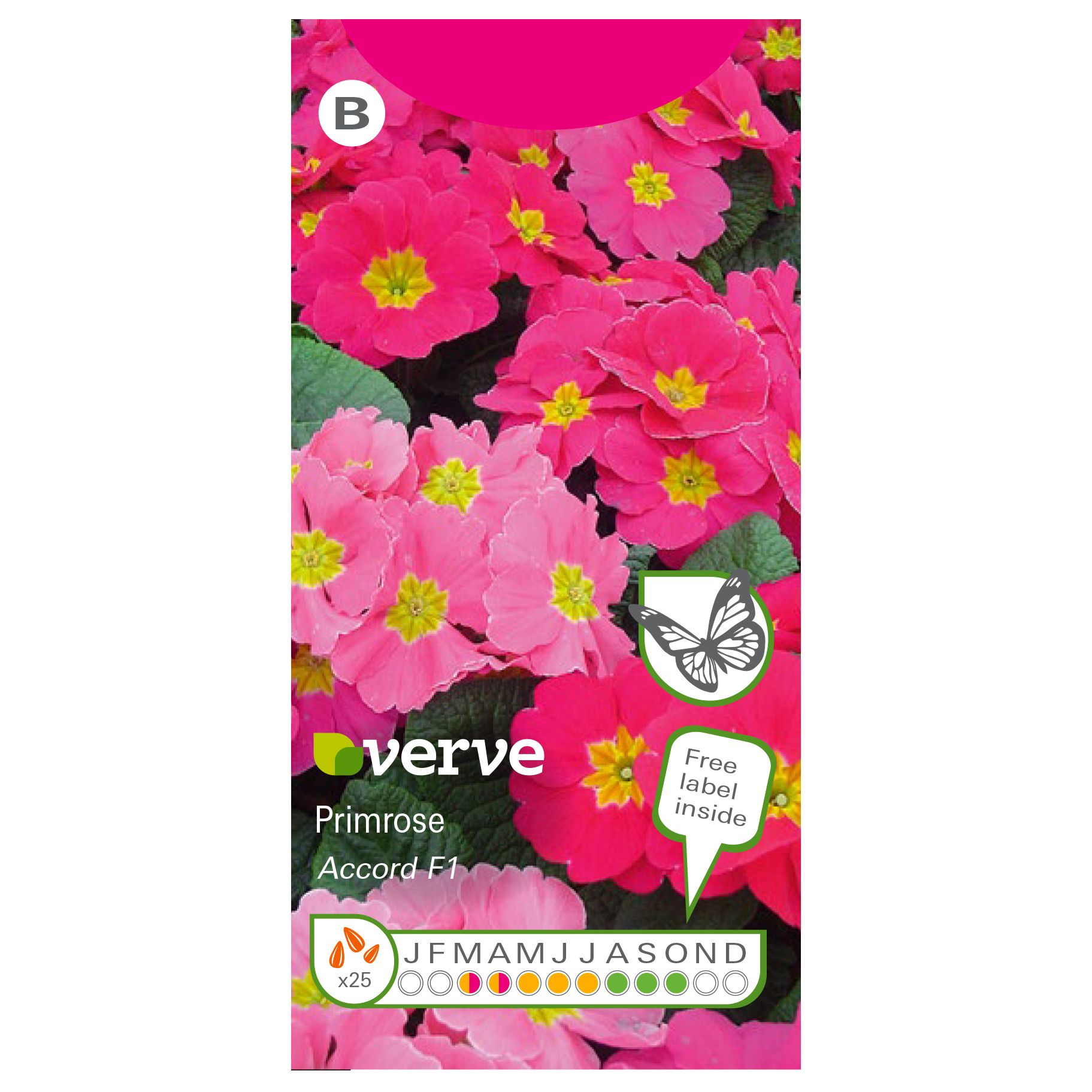 Verve Wanda Primrose Seeds