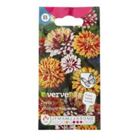 Verve Whirlygig Zinnia Seeds