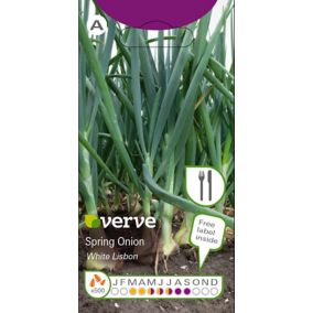 Verve White lisbon spring onion Vegetable Seeds