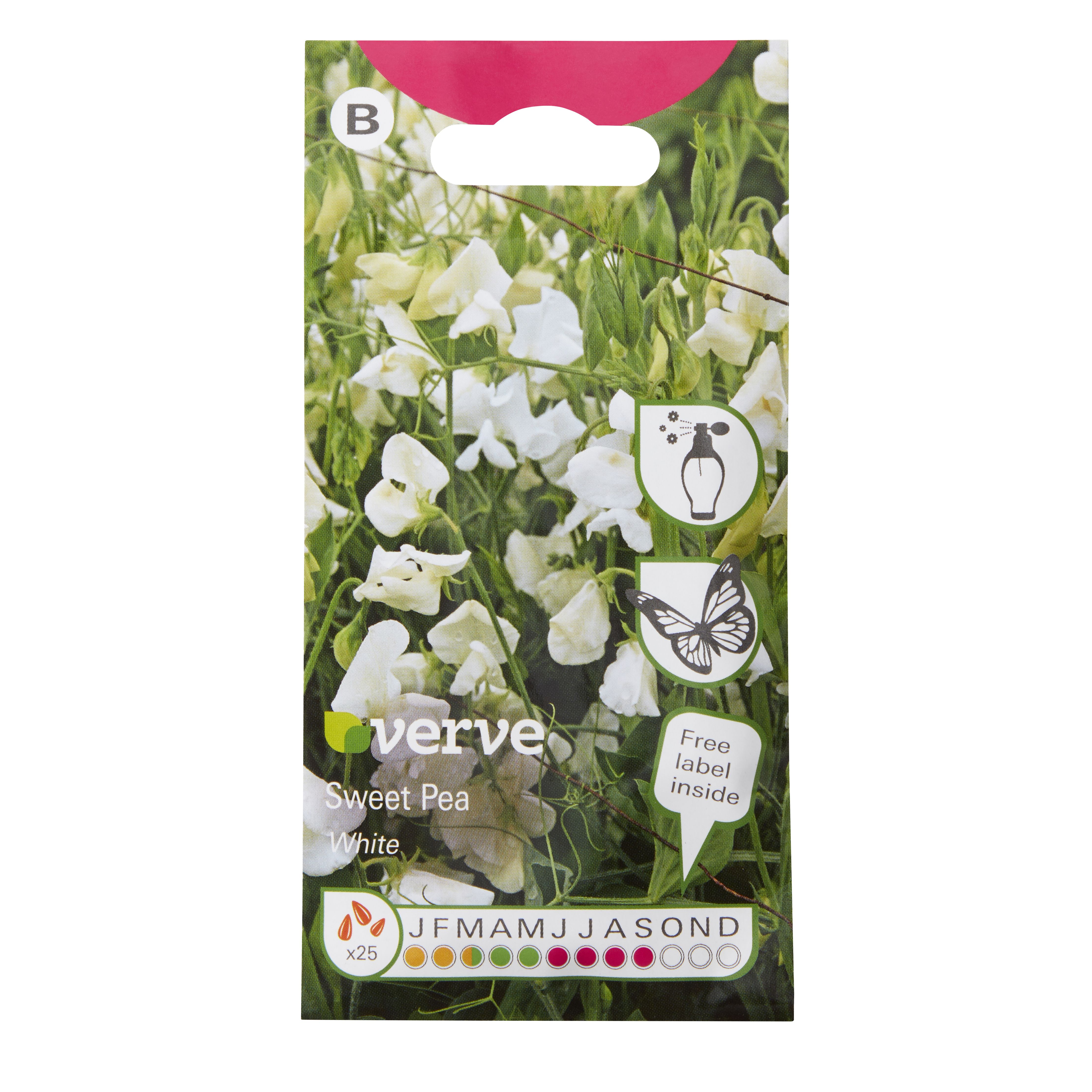 Verve White Sweet pea Flower Seeds