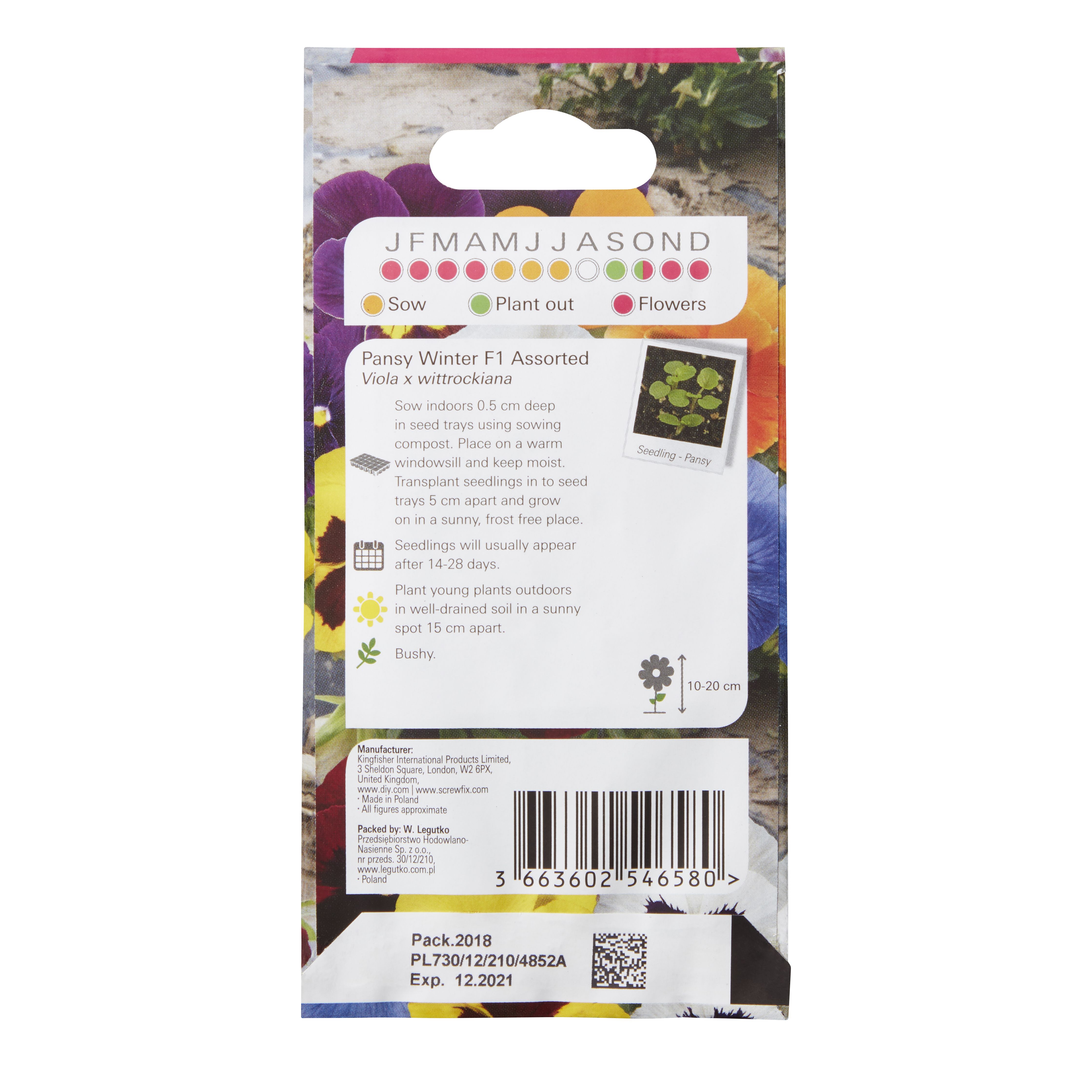 Verve Winter Pansy Seeds