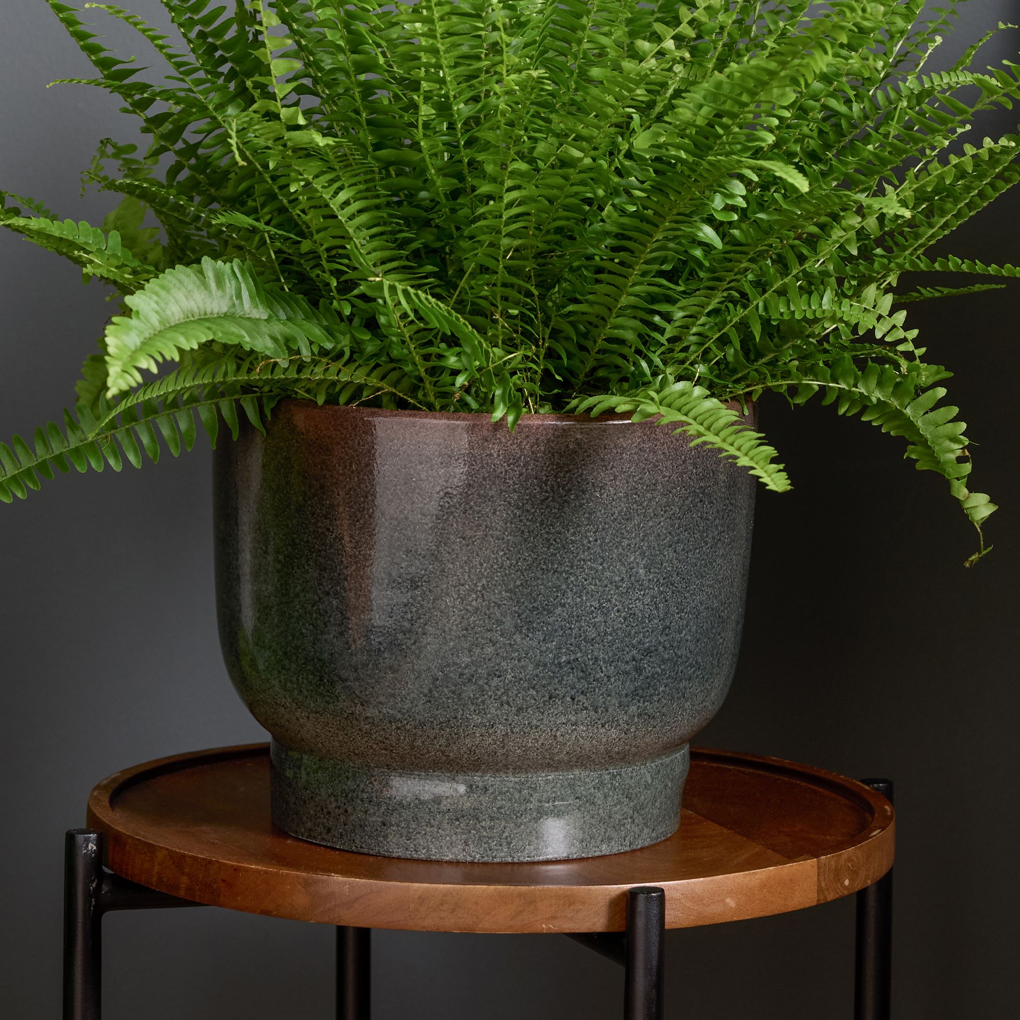 Verve Zen black Clay Plant pot (Dia) 23cm, (H)19cm