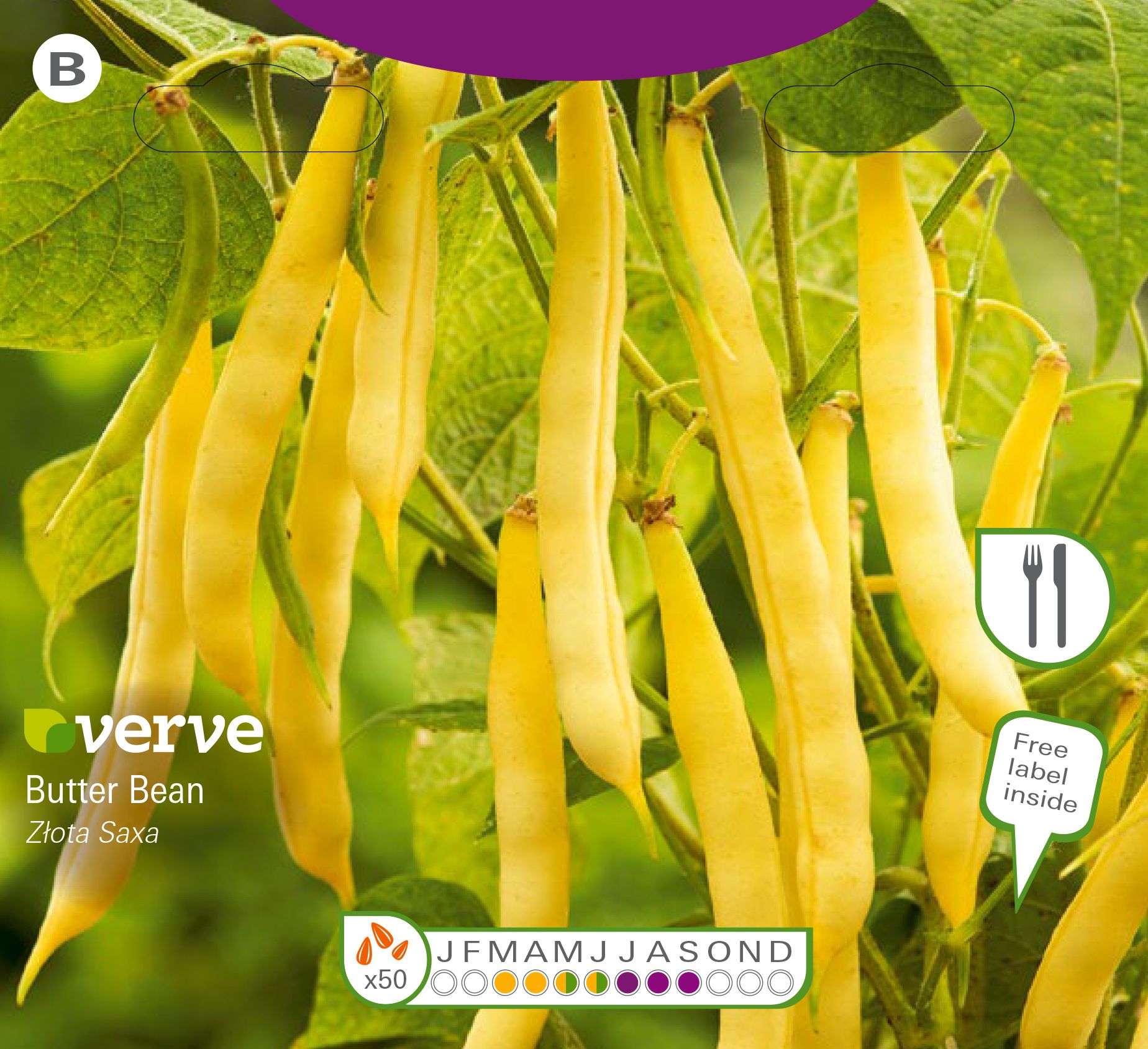 Verve Złota saxa butter bean Seeds