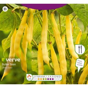 Verve Złota saxa butter bean Vegetable Seeds