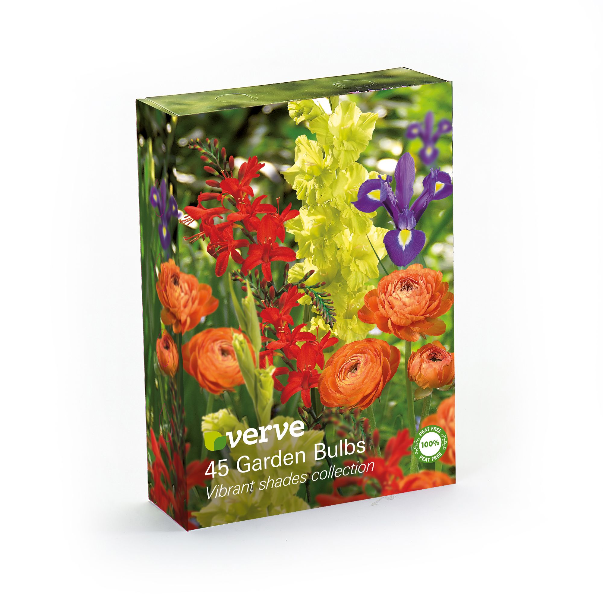 Vibrant shades collection 45 Flower bulbs