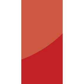 Vistelle High gloss Red Acrylic Panel (W)100cm x (H)244cm x (D)4mm