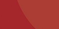 Vistelle Vistelle High gloss Red Shower Panel (H)2070mm (W)1000mm (T)4mm