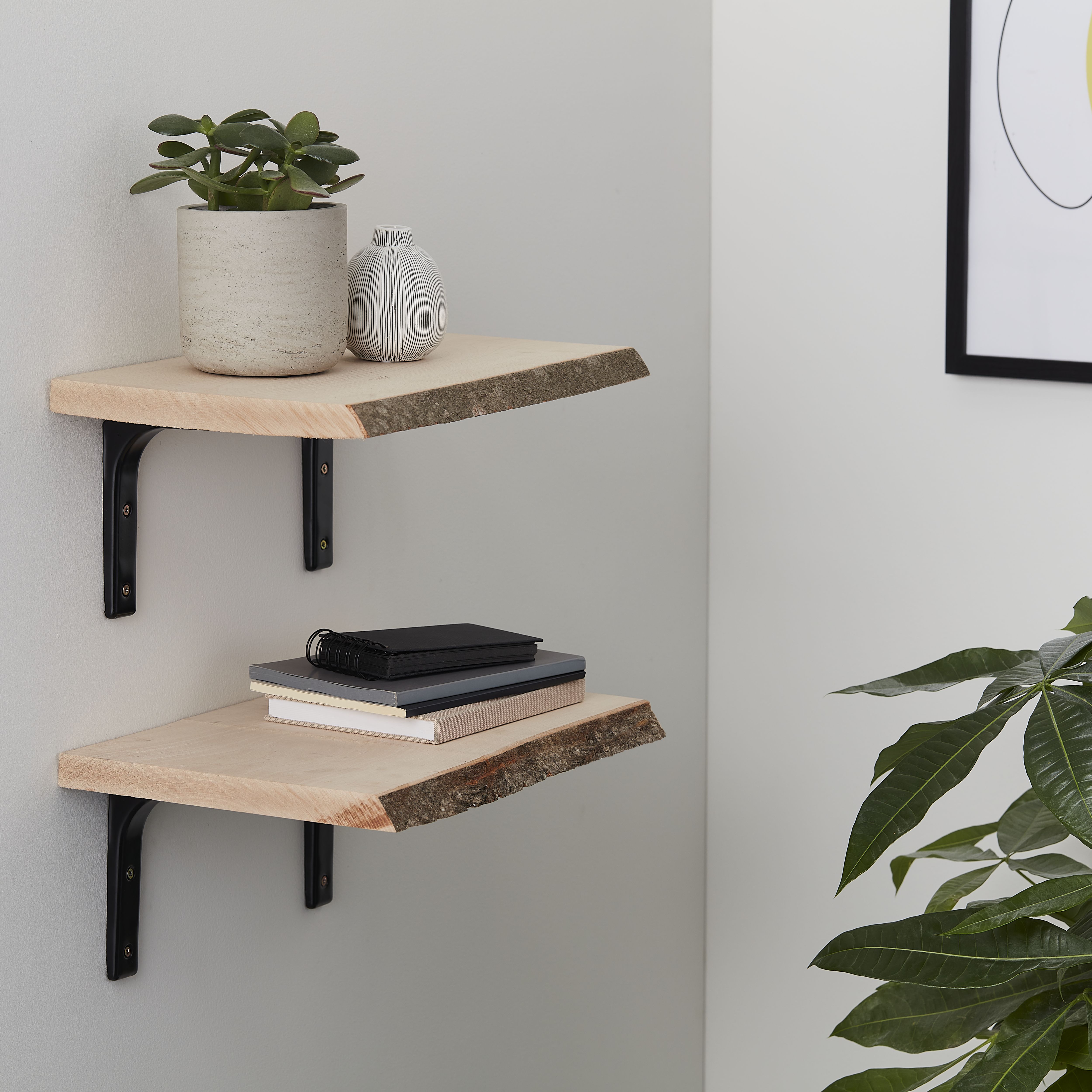 Waney edge Beech Furniture board, (L)0.4m (W)250mm-300mm (T)25mm
