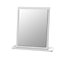 Warwick Grey Rectangular Framed Mirror (H)50.5cm (W)48cm