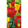 Washington & apeldoorn Tulip Flower bulb, Pack